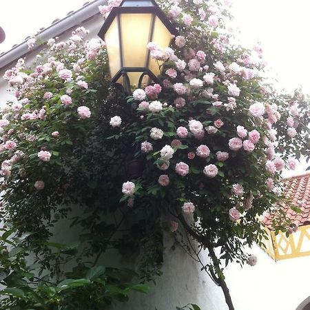 Patio Das Flores Феррейра-ду-Алентежу Экстерьер фото